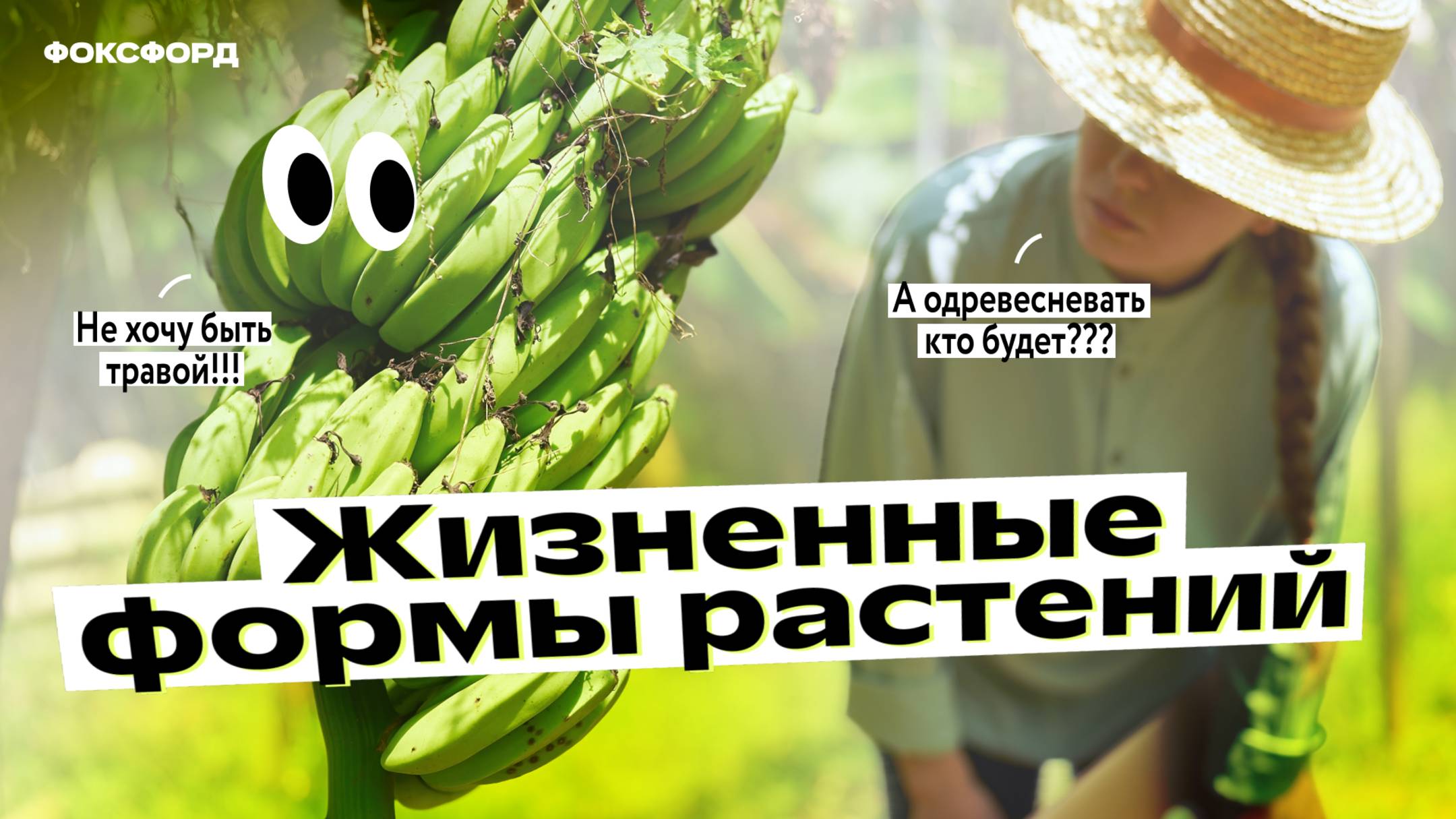 Жизненные формы растений. Биология. 6 класс смотреть онлайн