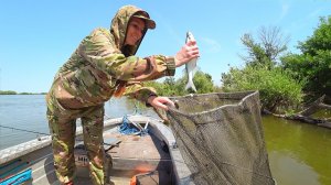 РЫБАЛКА С ЖЕНОЙ НА УНИКАЛЬНУЮ И ВКУСНУЮ РЫБУ. Летняя рыбалка в Астрахани в сезон мошки.