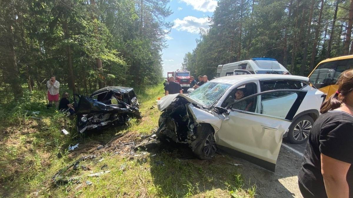 Аварии и ДТП на дорогах ТОРОПЫГИ за рулем смотреть онлайн