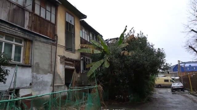 Отмечаем ДР мамы в Сочи (Дагомыс) февраль 2022г