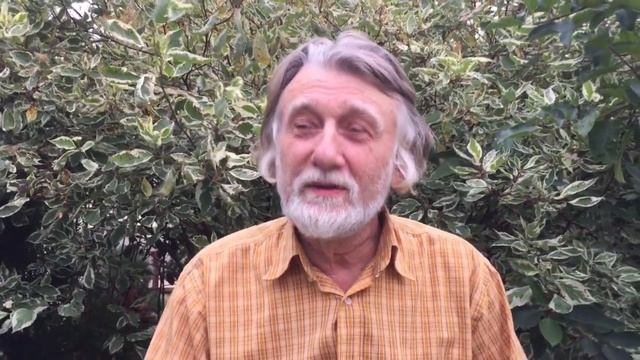 Дыхание. Ум. Физическое тело смотреть онлайн