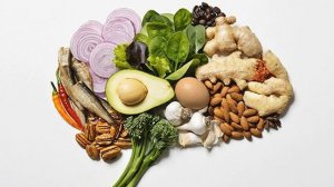 Питание и мозг  Нил Недли часть 1