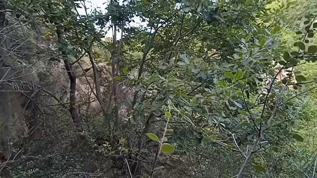 Природа Зубанчи Горы Скалы Лес Пещеры 19-06-2025