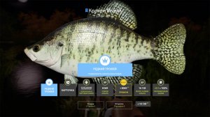 3 СУПЕР ТОЧКИ ДЛЯ МАХА НА ЛОСИНОМ ОЗЕРЕ В РУССКОЙ РЫБАЛКЕ 4 РР4