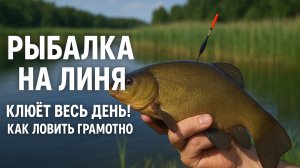 Рыбалка на линя — клюёт весь день! Как ловить грамотно