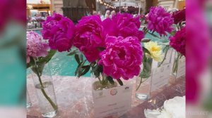 Выставка «Пионы России» 2025 в Москве в ГУМе экспозиция 1