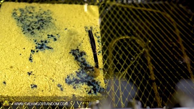 Deep Frying 50 Pens... What Could Go Wrong? смотреть онлайн