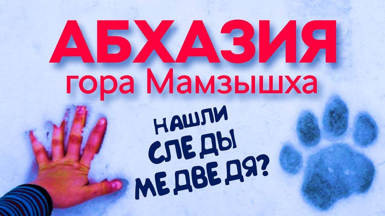 МАМЗЫШХА АБХАЗИЯ 😱 НАШЛИ СЛЕДЫ МЕДВЕДЯ АБХАЗИЯ ГАГРА гора Мамзышха смотреть онлайн