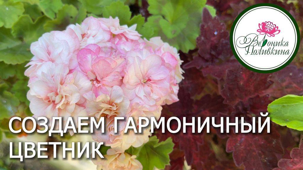 КАК СОЗДАТЬ ЦВЕТНИК смотреть онлайн