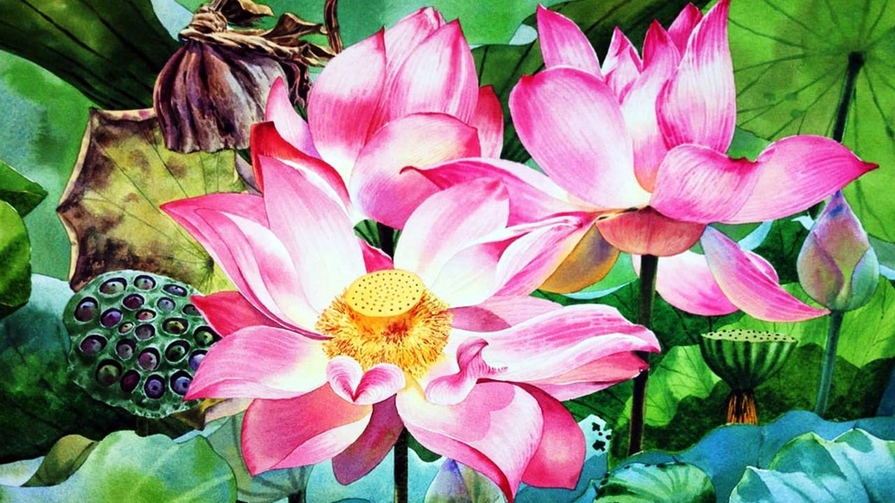 Нежные цветочные акварели художника Максин Ти Китипонг (Kitipong Ti.) смотреть онлайн