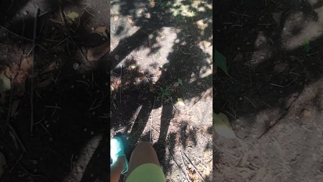 VID_20250620_154228.mp4 смотреть онлайн