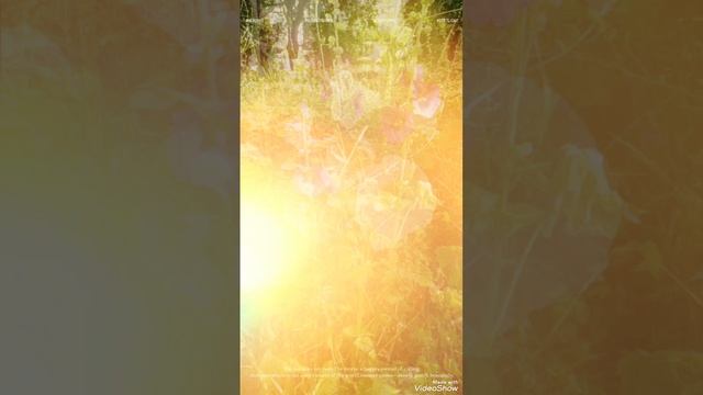 Во дворе смотреть онлайн