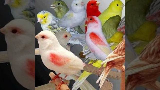 Это интересно-8