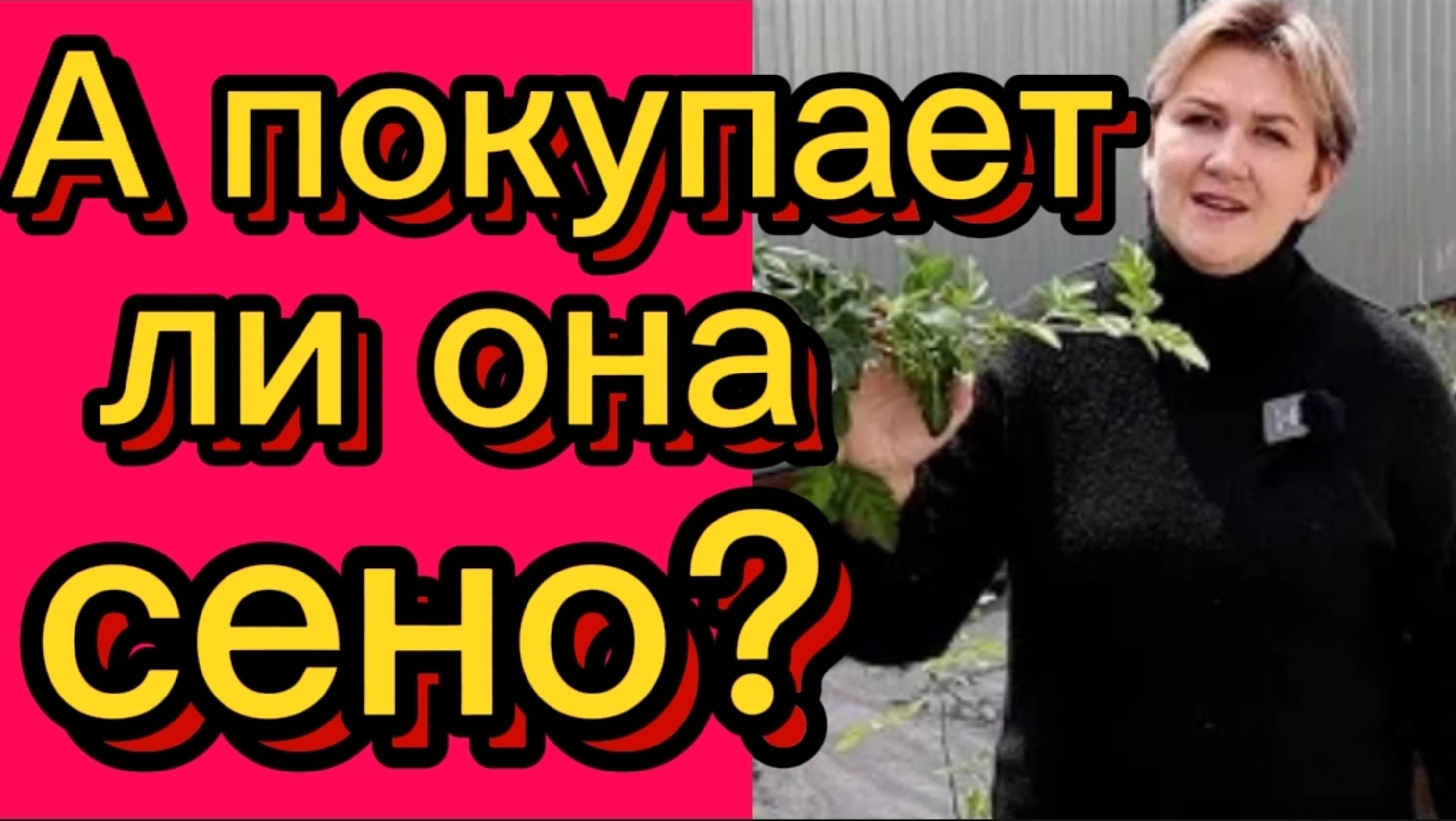 А покупается ли сено? Деревенский дневник. смотреть онлайн