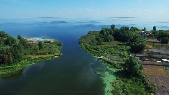 Видео, созданное нейросетью - вы не отличите от реальности! - Acoustic Fingerpicking 10 -- Independe