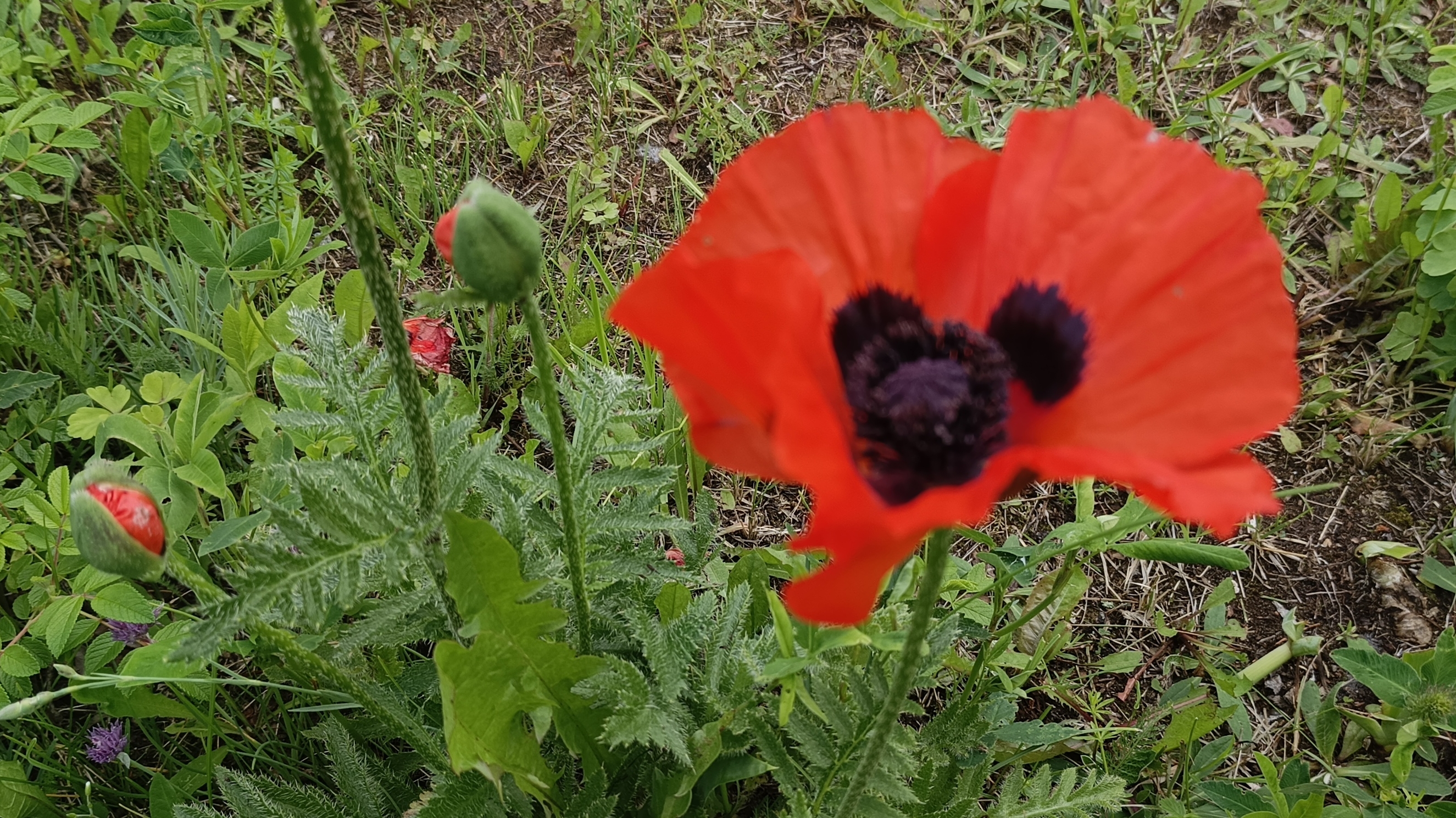 19-06-2025💥Влог💥четверг смотреть онлайн