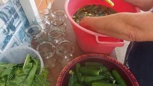 СЕЗОН ОГУРЦОВ НАЧИНАЕТСЯ...ОГУРЦЫ С КЕТЧУПОМ...ОЧЕНЬ ВКУСНО 😋