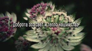 Доброта. Христианское караоке