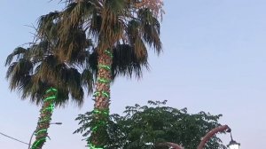 В Турции🇹🇷встретились с друзьями 🤗обзор их отеля Side Aluna 🏖️вечерняя прогулка