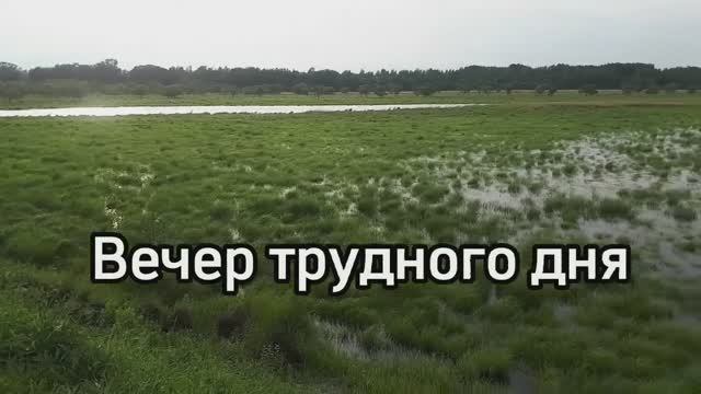 Вечер трудного дня