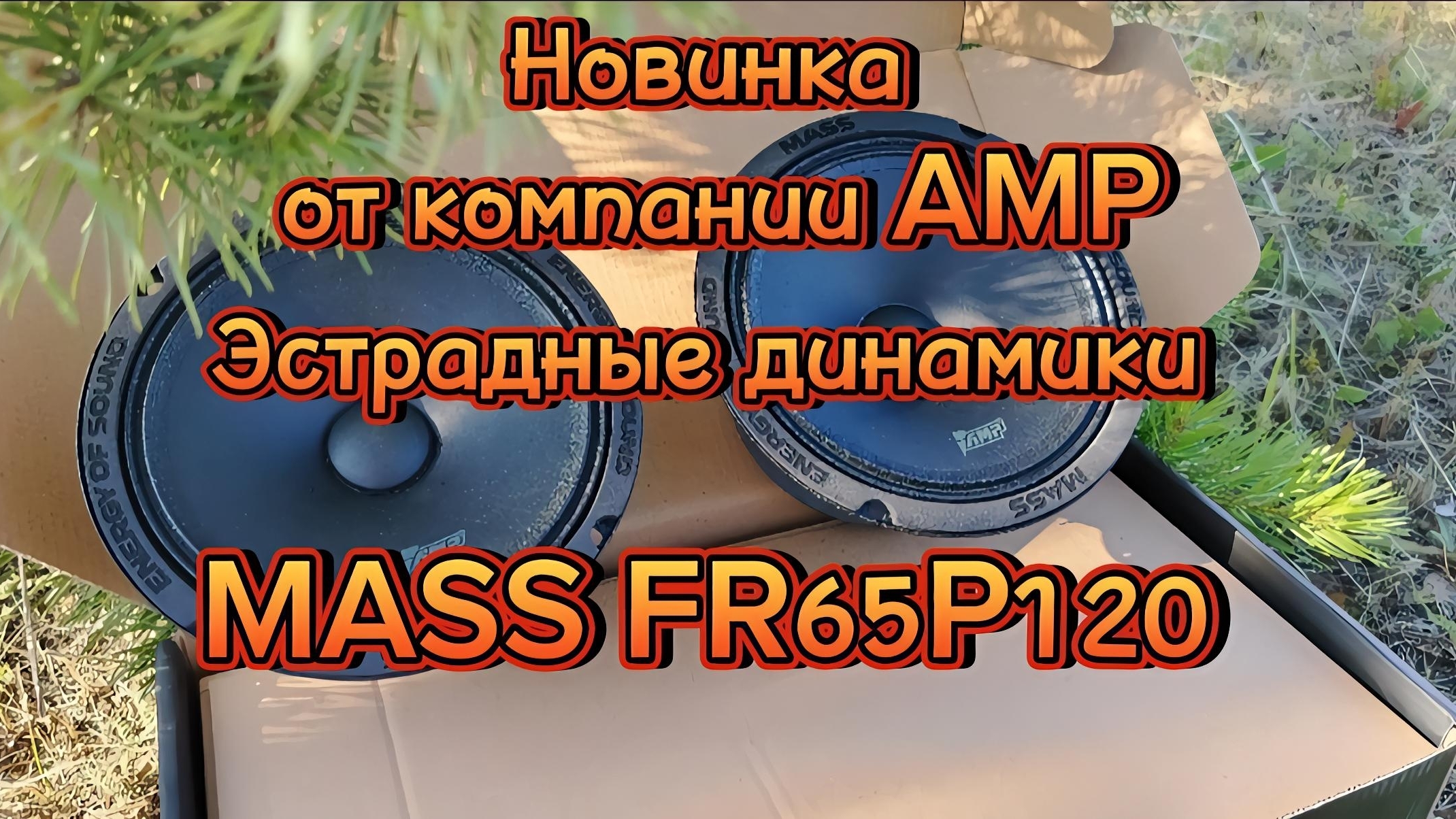Акустика эстрадная AMP MASS FR65P120 смотреть онлайн