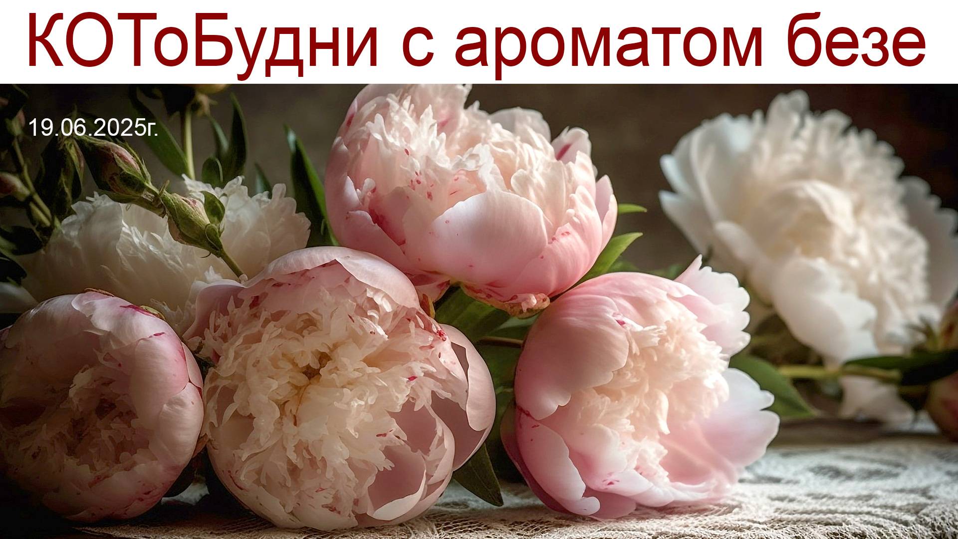 КОТоБудни с ароматом безе, Дворец в усадьбе Кусково и холодный июнь 2025 года смотреть онлайн