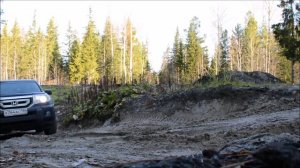 На Pilot по лесам...