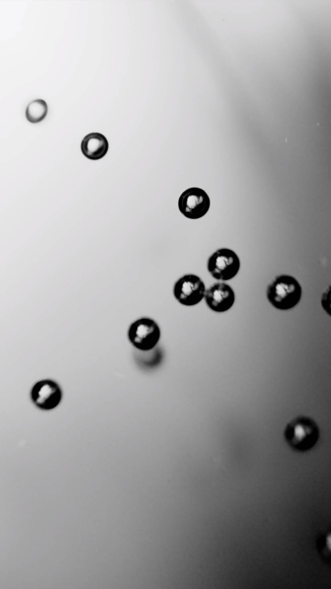 Идеален для макро! Canon EF-S 60mm f/2.8 Macro USM