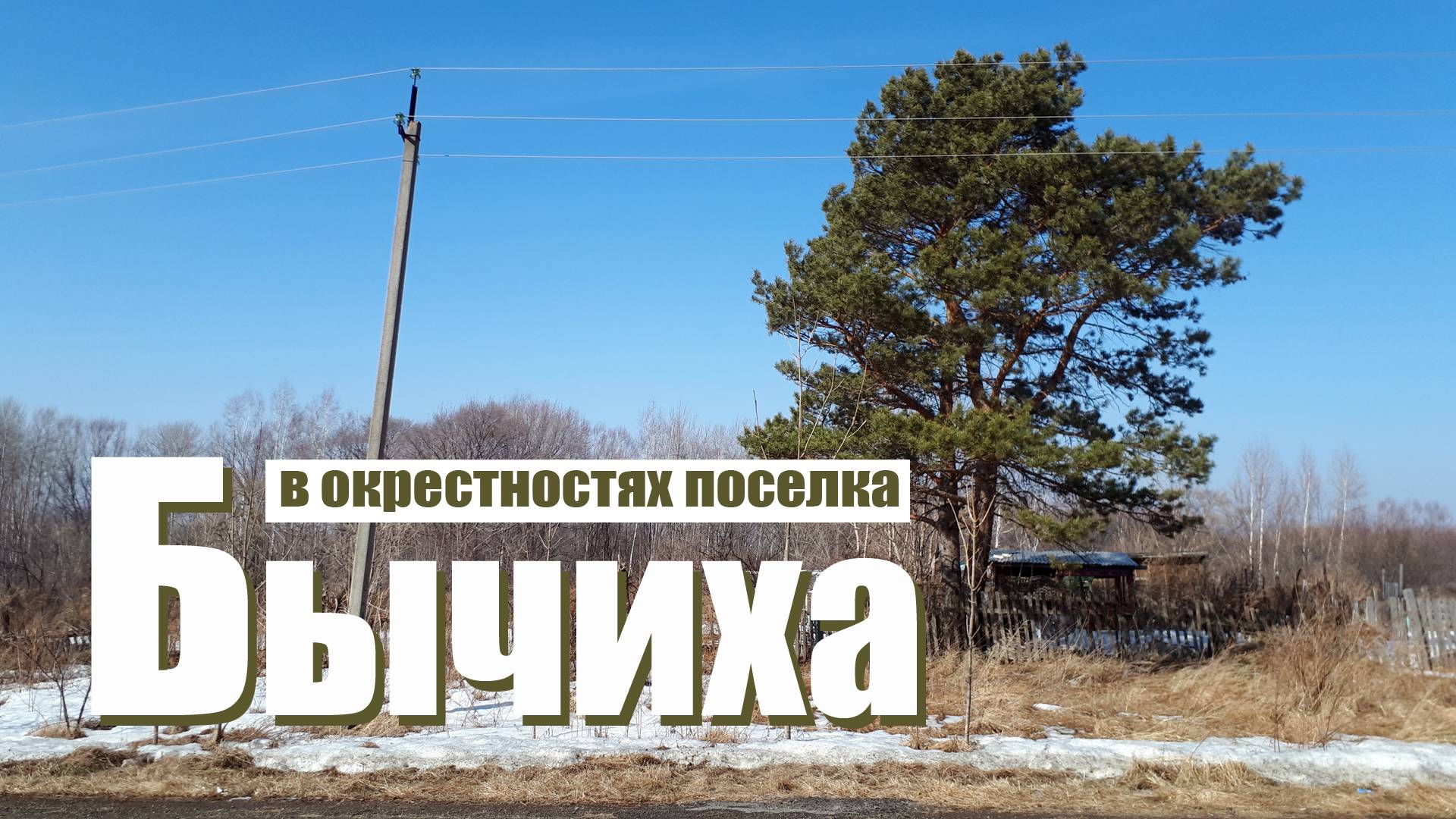 Бычиха. В окрестностях поселка.