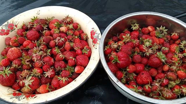 Собрала клубнику.