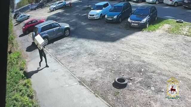 Нижегородская студентка передала мошеннику сейф со 100 тысячами долларов смотреть онлайн