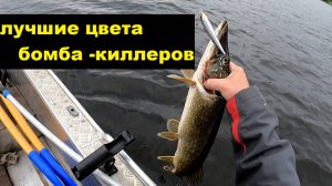 Новые цвета бомба -киллеров косят любого хищника.