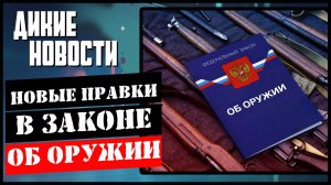 Новые правки в законе об оружии