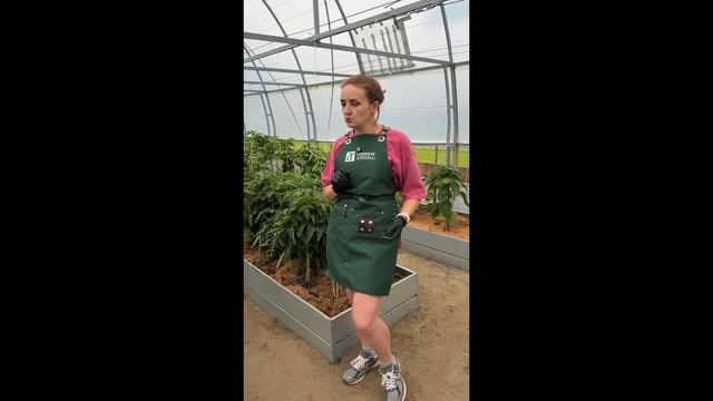 🤫А вы знали это про условия роста растений? 🌸Семена Алтая смотреть онлайн
