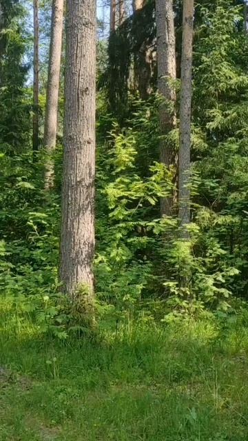 (36) Библия Евангелие от Иоанна глава 8 стих 51-59 смотреть онлайн