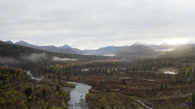 Леса открываются, как книга, под этот трек - Carefree Morning -- Scott Holmes Music -- Happy Backgro