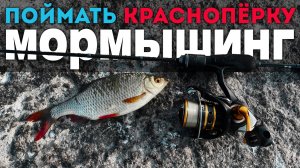 👌Рыбалка МЕЧТЫ: УПИТАННЫЙ КРАСНОПЁР в Кувшинках, КАРАСЬ на 435 г! 🤫Секретные приманки РВУТ РЫБУ!