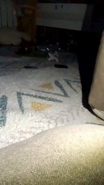 мы призвали пикавую даму