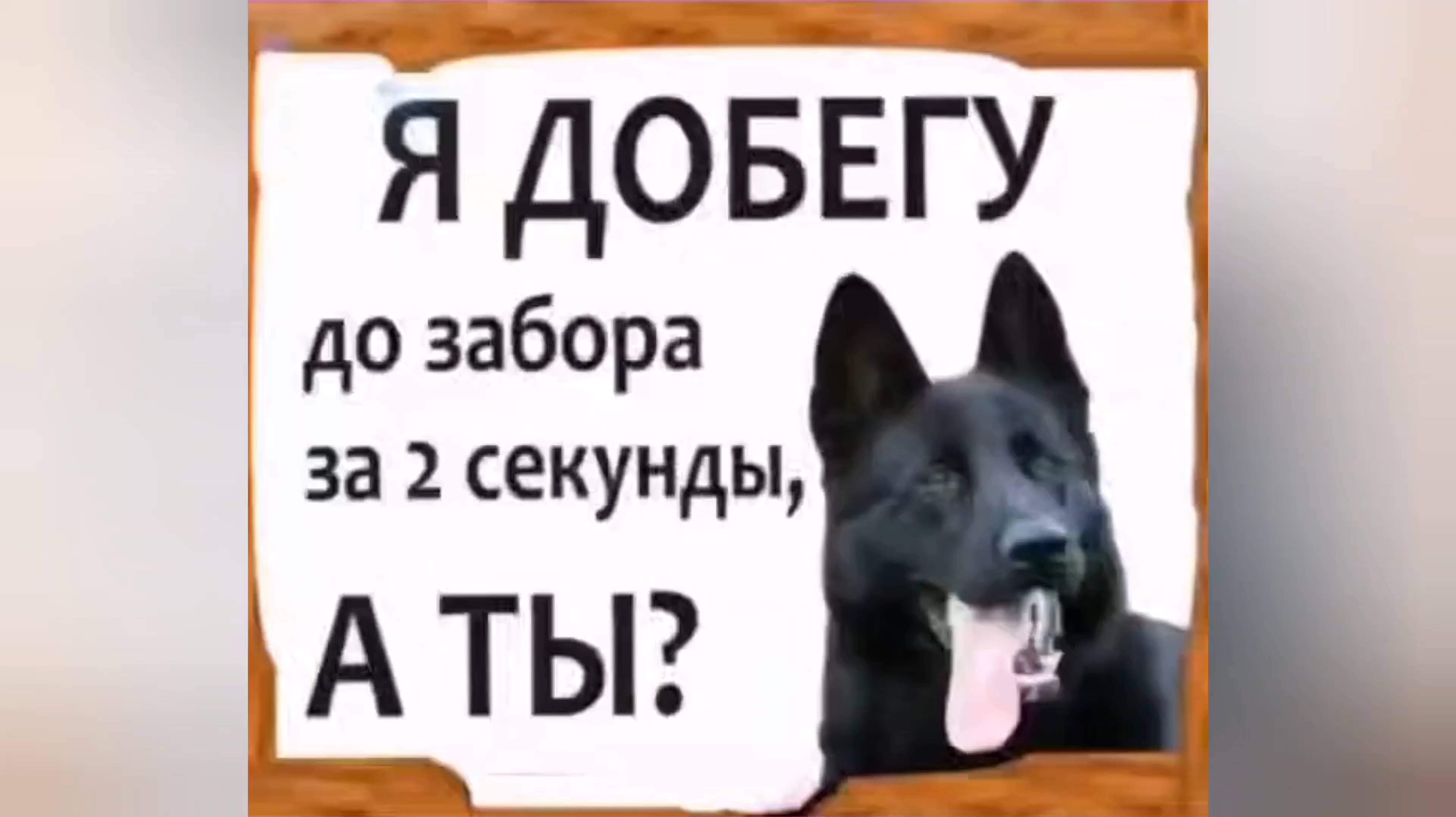 СМЕХ ДО СЛЁЗ . Прикольные надписи смешные до слёз 😂 смотреть онлайн