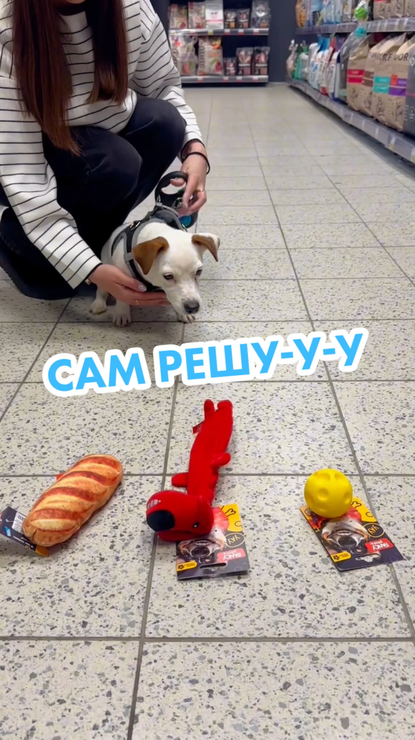 🐶 В «Ленте Зоомаркет» питомцы могут сами выбирать игрушки! смотреть онлайн