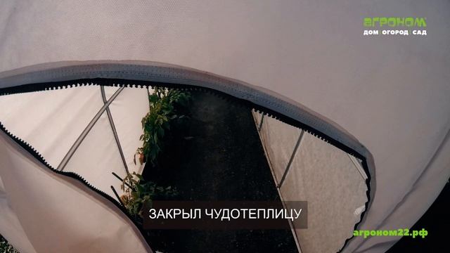 В чем секрет богатого урожая смотреть онлайн