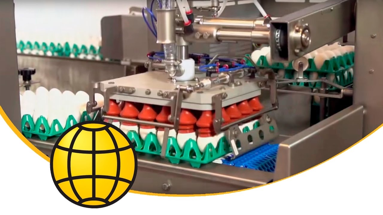 Egg Loader Machine - ✔️ Egg Breaking ✔️ Egg Grading - FlexLoader 5-6 with Destacker - SANOVO смотреть онлайн