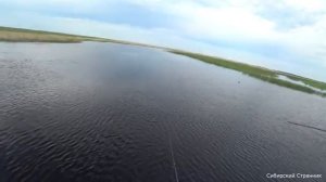 Приехал на старую переправу.Закинул блесну и охренел.Рыбалка в Сибири.