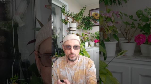 Тупики и выходы. #4. Община (стайность Vs стадность