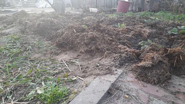 ПЕРЕСАДКА КЛУБНИКИ. УДОБРЯЮ ПОЧВУ смотреть онлайн