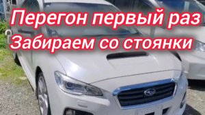 Перегон. Первый раз. Забираем со стоянки Субару Levorg