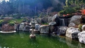 Вода и камень. Уголок Японского сада