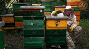 ВРЕМЯ РАСШИРЕНИЯ ГНЁЗД