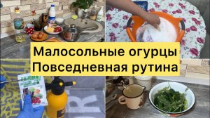 Малосольные огурцы. Повседневные хлопоты