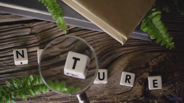 Это видео - как глоток свежего воздуха для души! - Space -- Chad Crouch -- Arps II